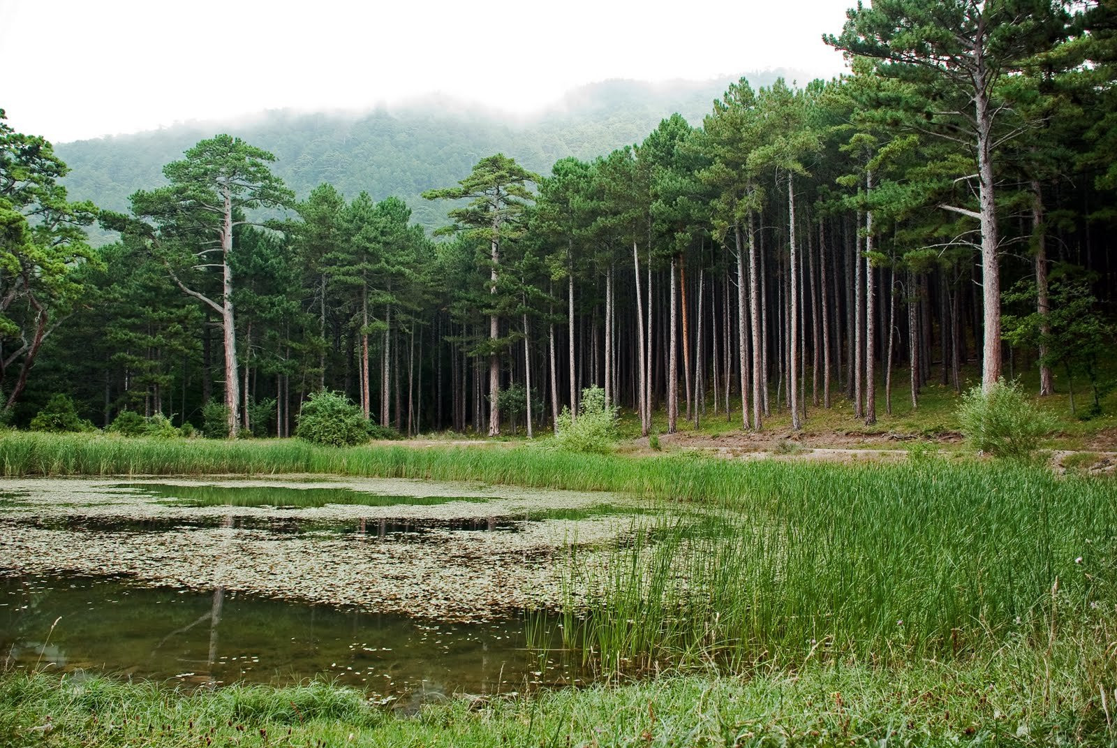 Украина, фото № 3966 – фотографии Украины