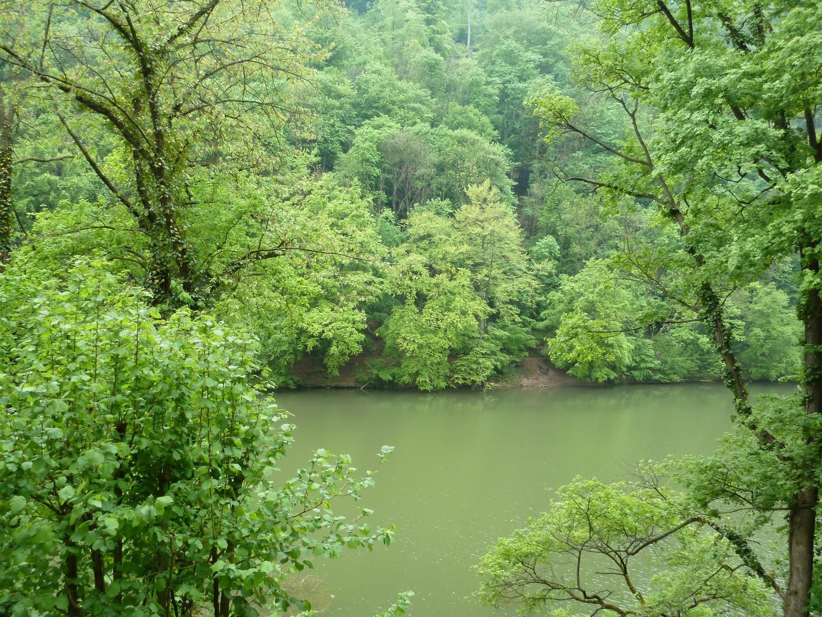 Бюкк Национальный Парк, Венгрия, фото № 70084 – фотографии Венгрии