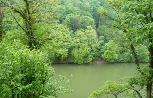 Бюкк Национальный Парк, Венгрия, фото № 70084 – фотографии Венгрии