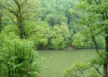 Бюкк Национальный Парк, Венгрия, фото № 70084 – фотографии Венгрии