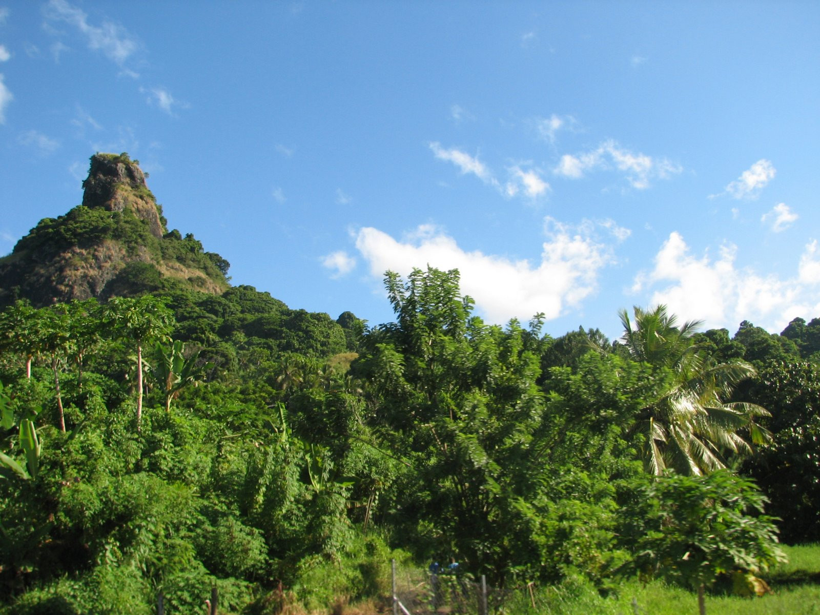 Саншайн Коаст, Вити Леву остров, Вити Леву группа островов, Фиджи, фото № 49604 – фотографии Фиджи