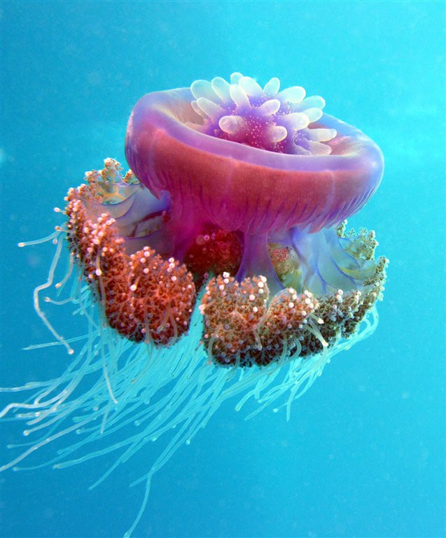 Марса-Алам, Египет, фото № 35311 – фотографии Египта