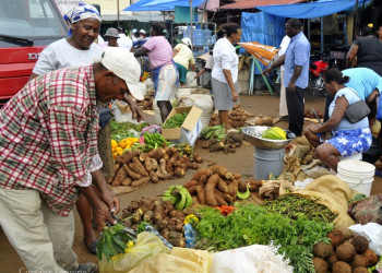 Самана, Доминикана, фото № 30628 – фотографии Доминиканы