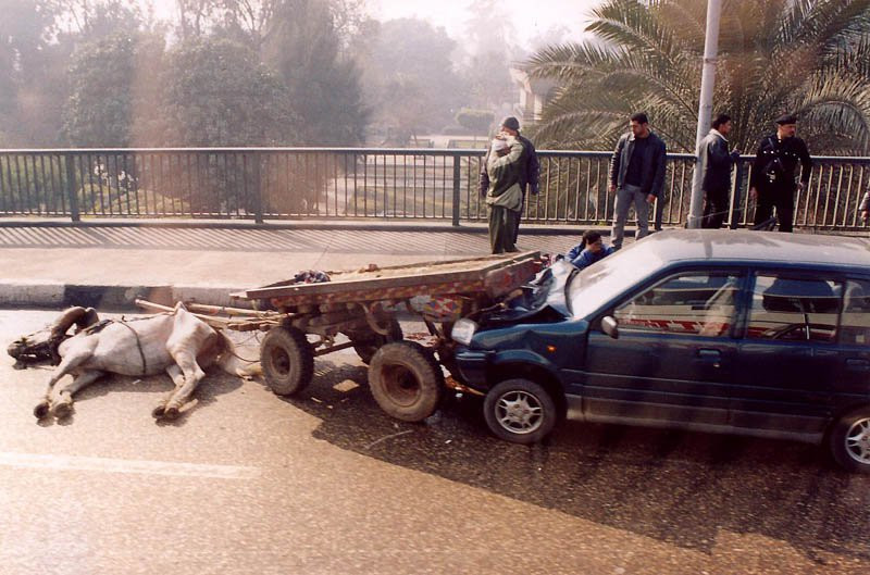 Каир, Египет, фото № 35164 – фотографии Египта