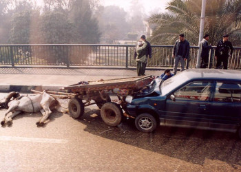 Каир, Египет, фото № 35164 – фотографии Египта