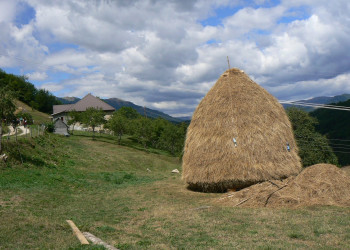 Стог сена в Национальном парке, Черногория – фотографии Черногории