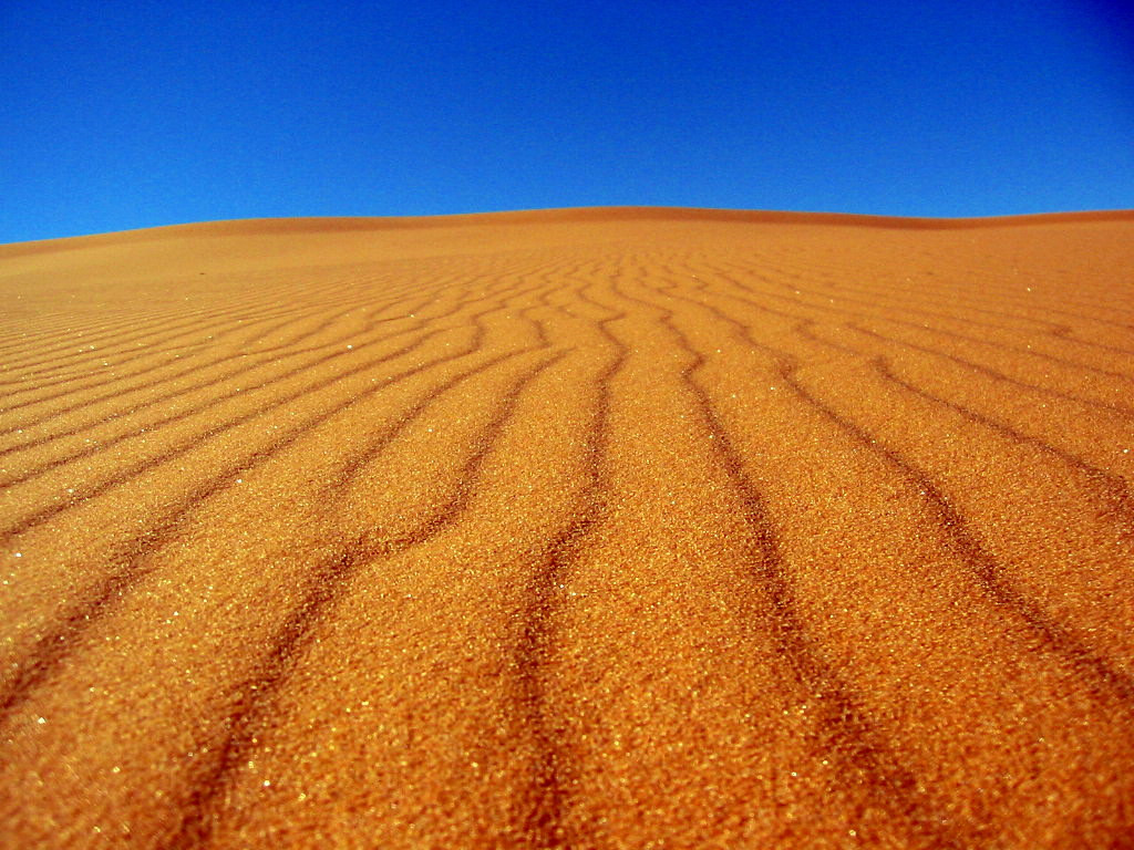 Пустыня Сахара в Алжире – фотографии Алжира