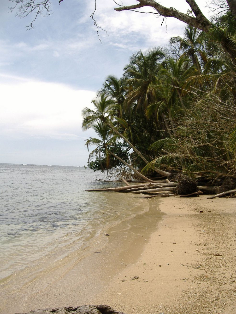 Кауита Национальный Парк, Лимон провинция, Коста-Рика, фото № 40084 – фотографии Коста-Рики