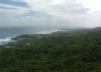 Панорамный вид  Восточного побережья, Барбадос. Фото 4 – фотографии Барбадоса