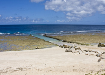 Побережье Науру. Фото 1 – фотографии Науру