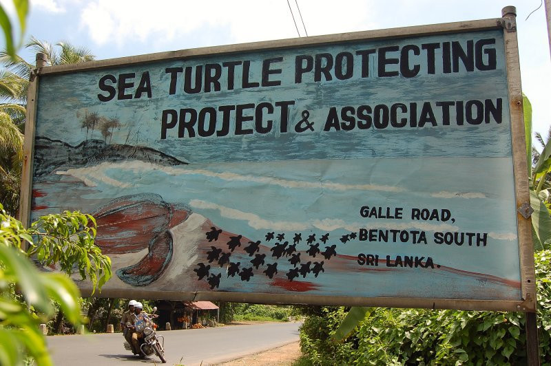 Бентота, Шри-Ланка, фото № 50666 – фотографии Шри-Ланки