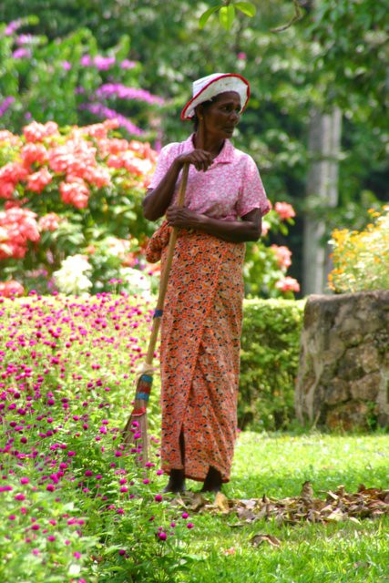 Канди, Шри-Ланка, фото № 51332 – фотографии Шри-Ланки