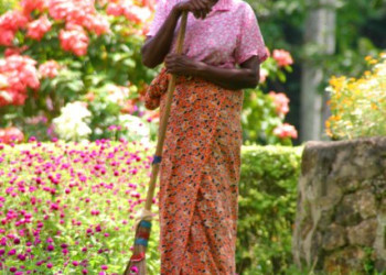 Канди, Шри-Ланка, фото № 51332 – фотографии Шри-Ланки