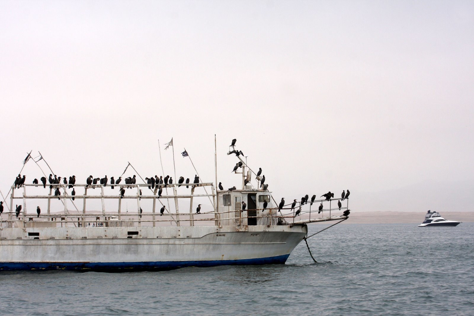 Корабль у островов Бальестас – фотографии Перу