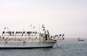 Корабль у островов Бальестас – фотографии Перу