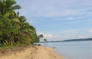 Лелеувиа остров, Вити Леву группа островов, Фиджи, фото № 49749 – фотографии Фиджи