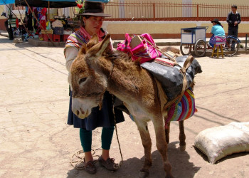 Peru_Chavin – фотографии Перу