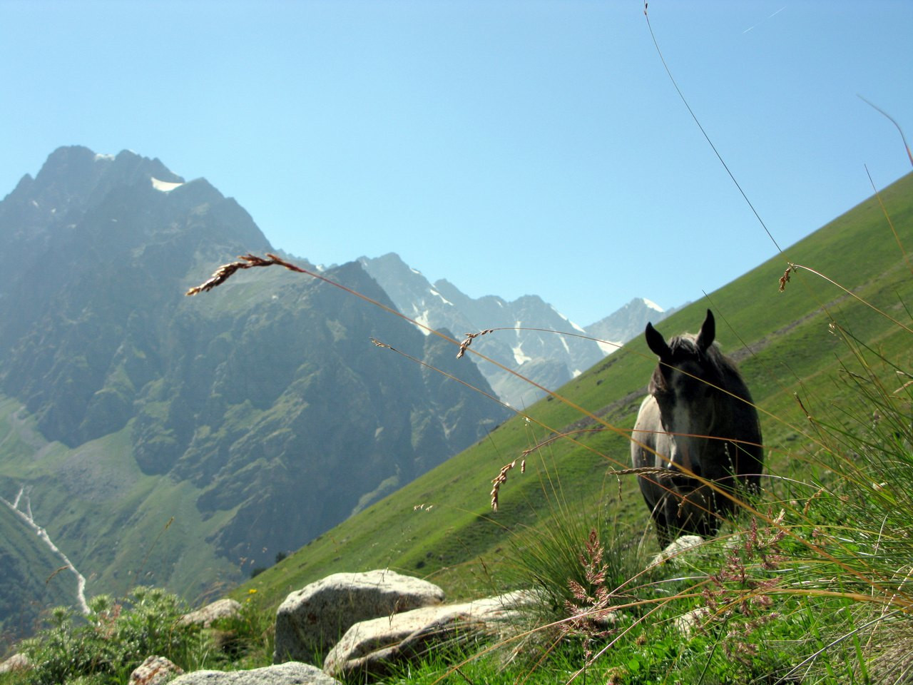 Природа в ущелье Адыр-Су, Кабардино-Балкария, Россия. Фото 3 – фотографии России