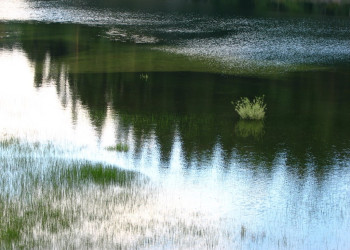 Црно озеро – фотографии Черногории