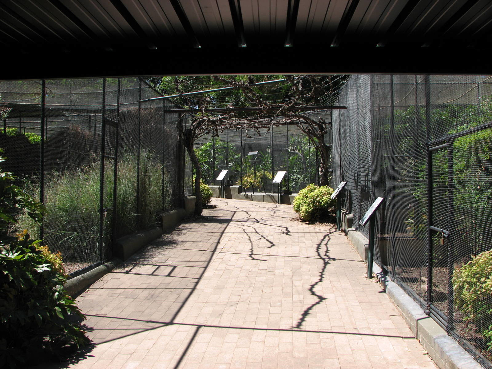 Зоопарк в Аделаиде (Adelaide Zoo) – фотографии Австралии