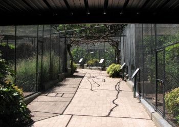 Зоопарк в Аделаиде (Adelaide Zoo) – фотографии Австралии