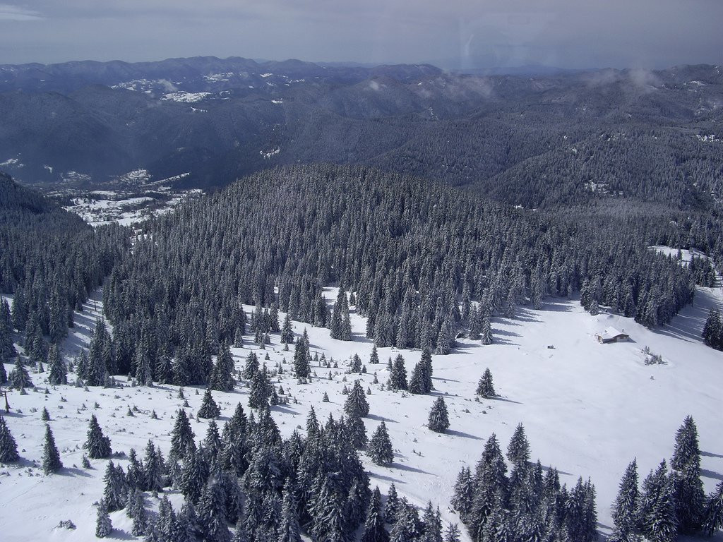 Природа в Пампорово, Болгария. Фото 21 – фотографии Болгарии