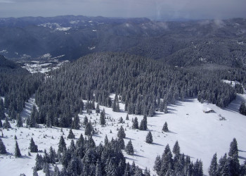 Природа в Пампорово, Болгария. Фото 21 – фотографии Болгарии