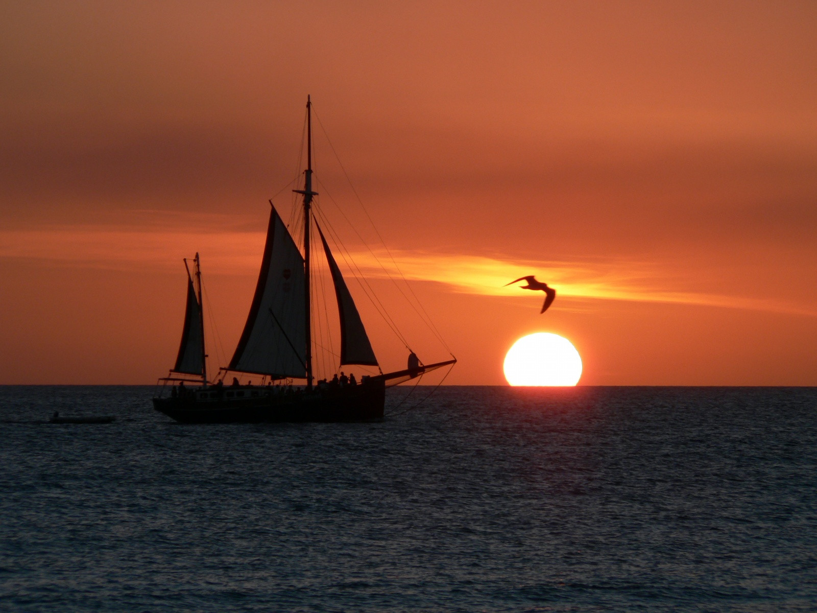 Аруба. Фото 12 – фотографии Арубы