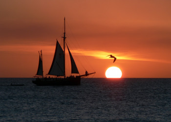 Аруба. Фото 12 – фотографии Арубы