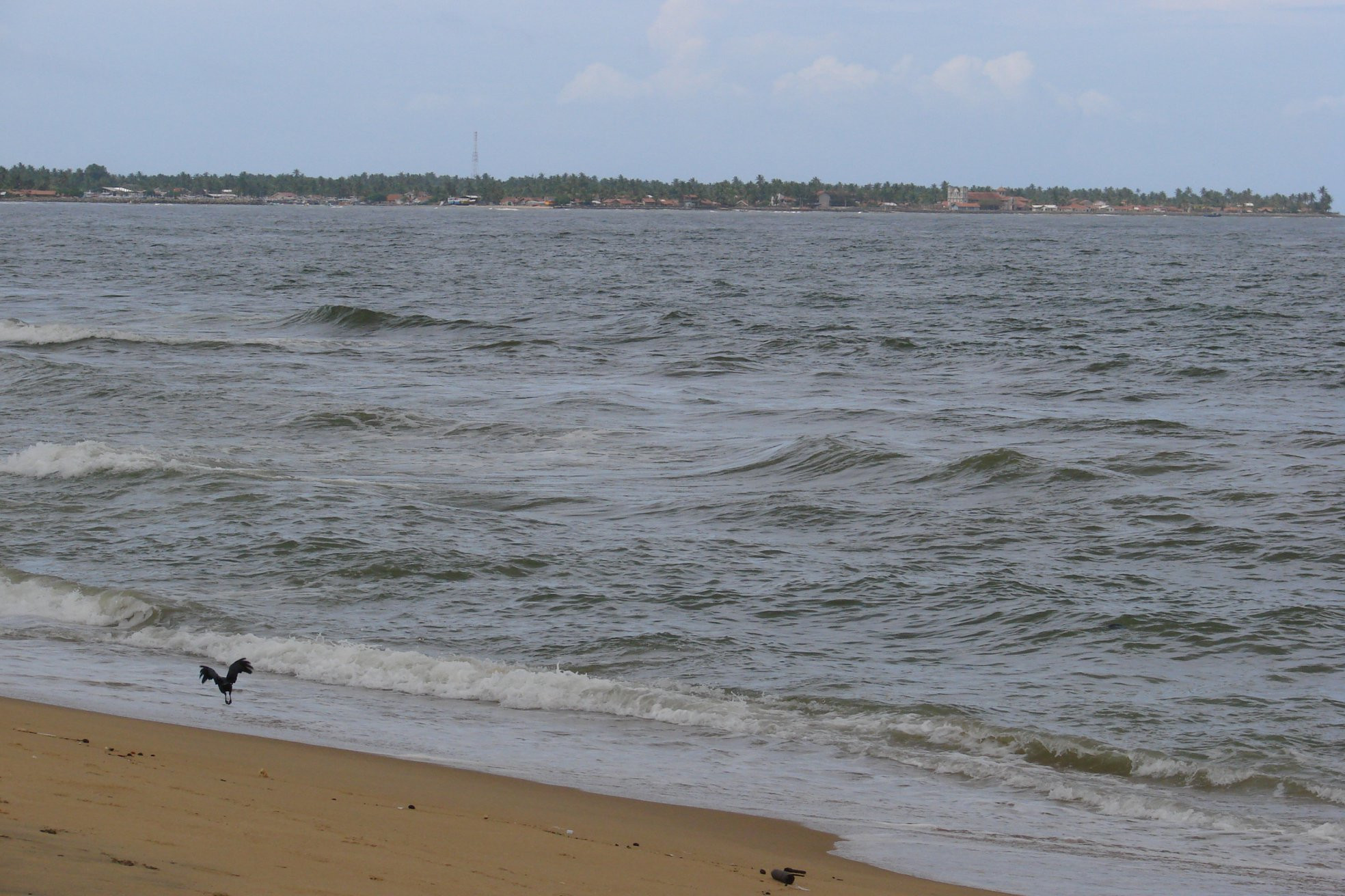 Негомбо, Шри-Ланка, фото № 51886 – фотографии Шри-Ланки