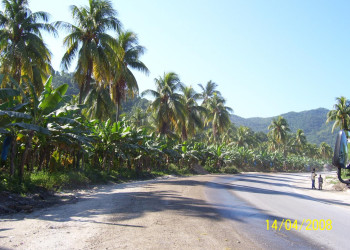 Дорога в Порт Антонио, Ямайка – фотографии Ямайки