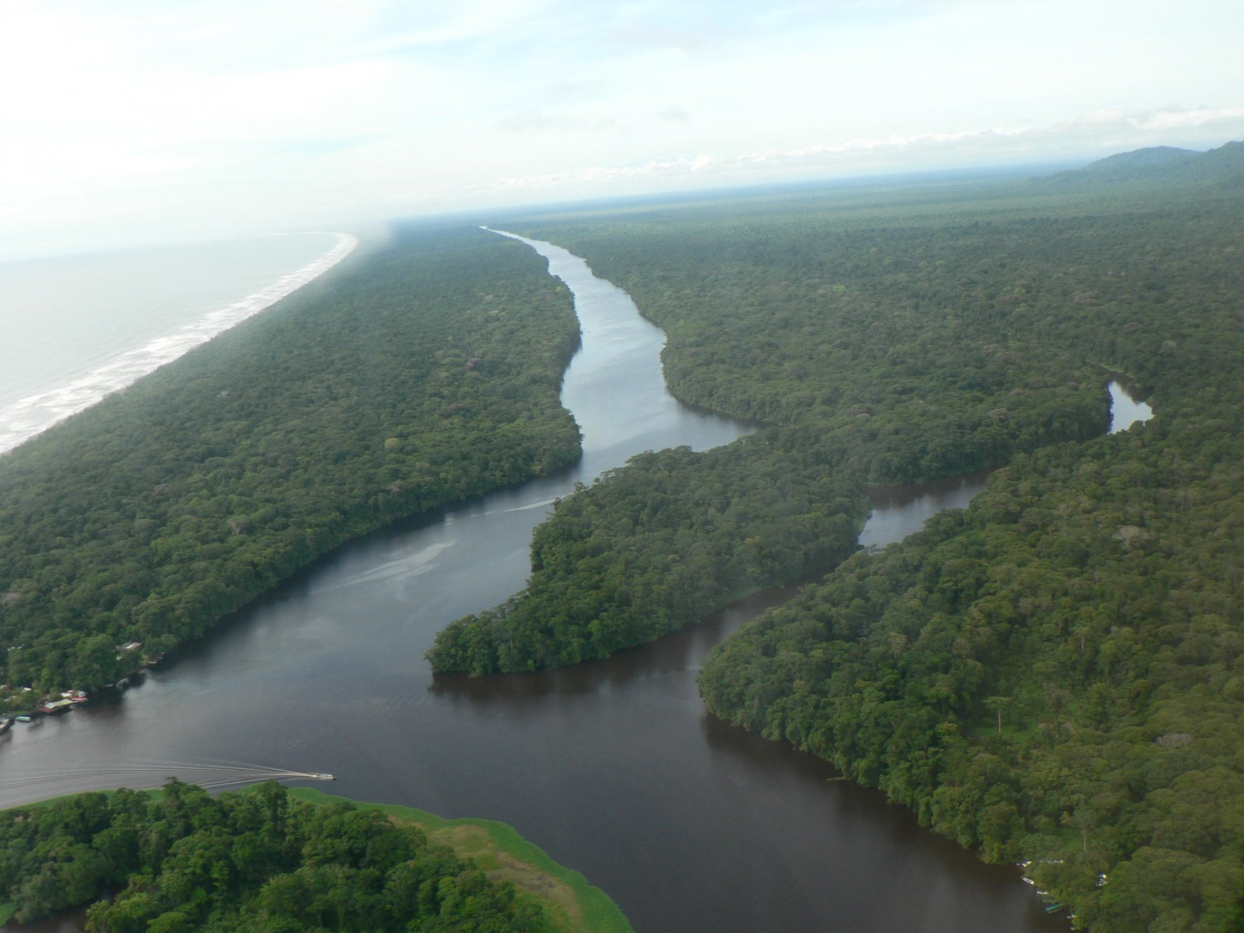 Тортугеро Национальный парк, Лимон провинция, Коста-Рика, фото № 40337 – фотографии Коста-Рики