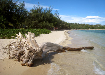 Матакава Леву остров, Ясава группа островов, Фиджи, фото № 50107 – фотографии Фиджи