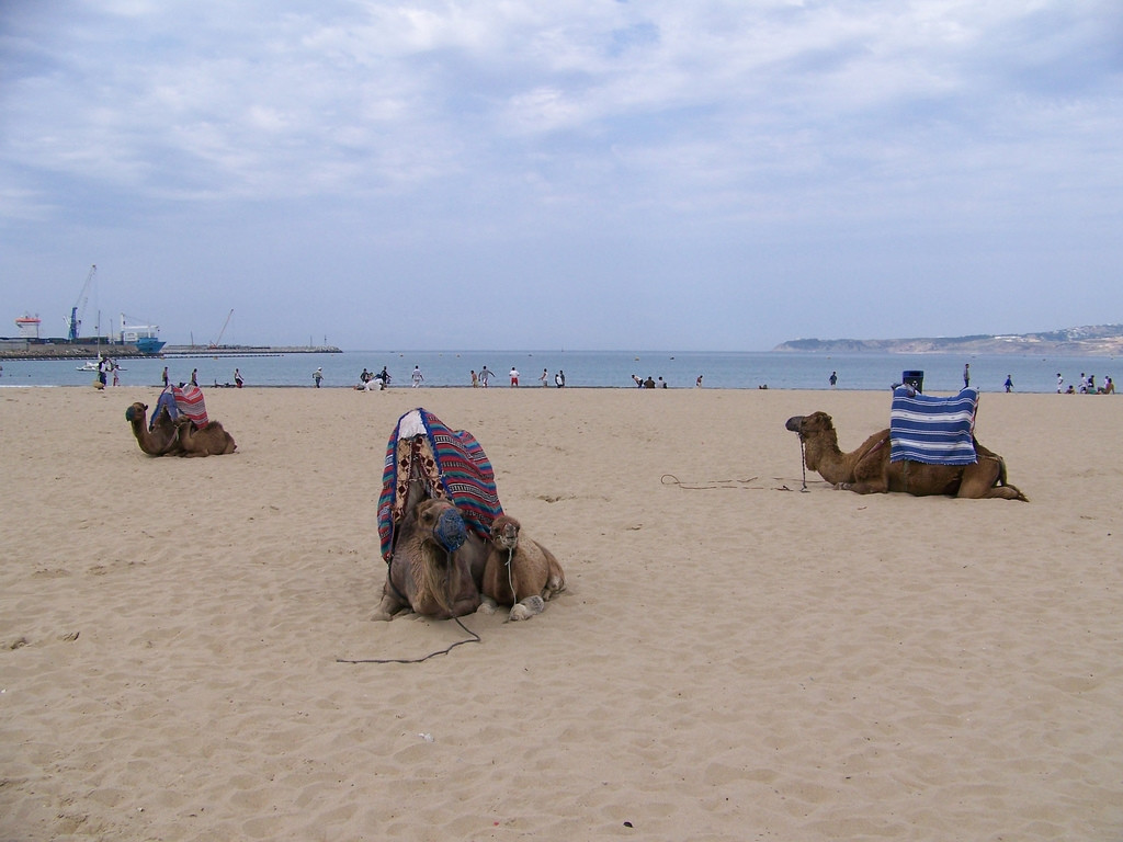 Танжер, Марокко, фото № 7942 – фотографии Марокко