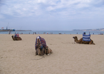 Танжер, Марокко, фото № 7942 – фотографии Марокко