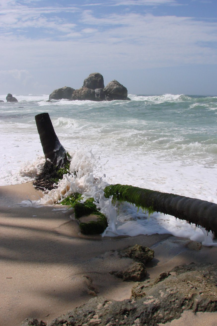 Коггала, Шри-Ланка, фото № 51553 – фотографии Шри-Ланки