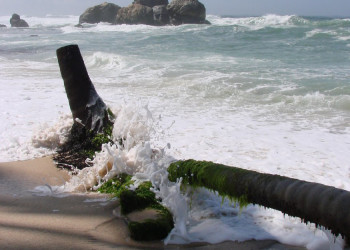 Коггала, Шри-Ланка, фото № 51553 – фотографии Шри-Ланки