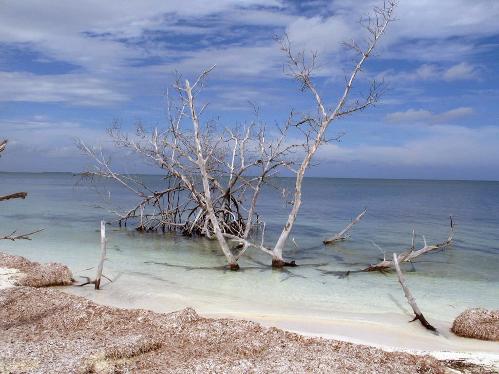 Берег в Пинар дель Рио провинция, Куба – фотографии Кубы