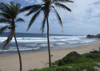 Пляж на Восточном побережье, Барбадос. Фото 5 – фотографии Барбадоса