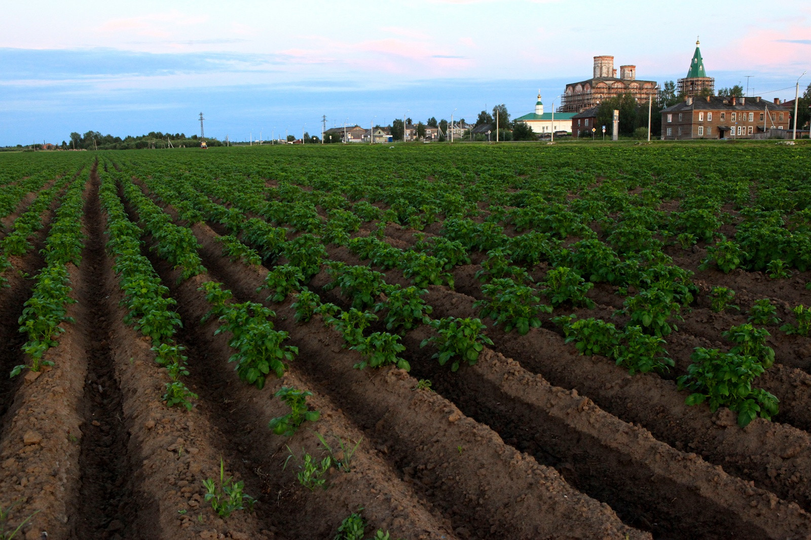 Село Холмогоры (Kholmogory), Архангельская область – фотографии России