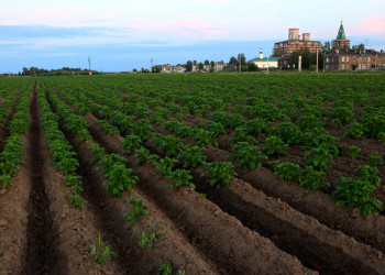 Село Холмогоры (Kholmogory), Архангельская область – фотографии России