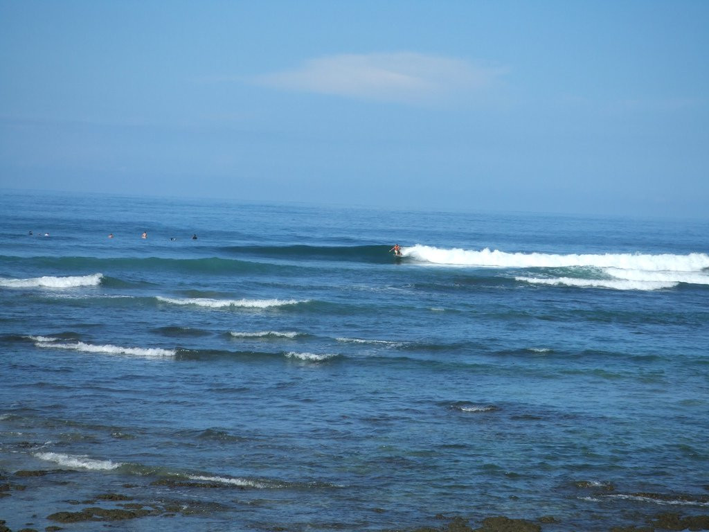 Плайя Нэгра, Гуанакасте провинция, Коста-Рика, фото № 39655 – фотографии Коста-Рики