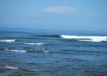 Плайя Нэгра, Гуанакасте провинция, Коста-Рика, фото № 39655 – фотографии Коста-Рики