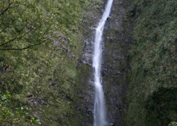 Сен-Бенуа, Реюньон, фото № 25866 – фотографии Реюньона