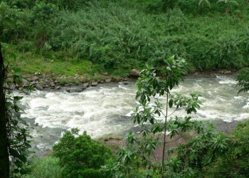 Китулгала, Шри-Ланка, фото № 51493 – фотографии Шри-Ланки