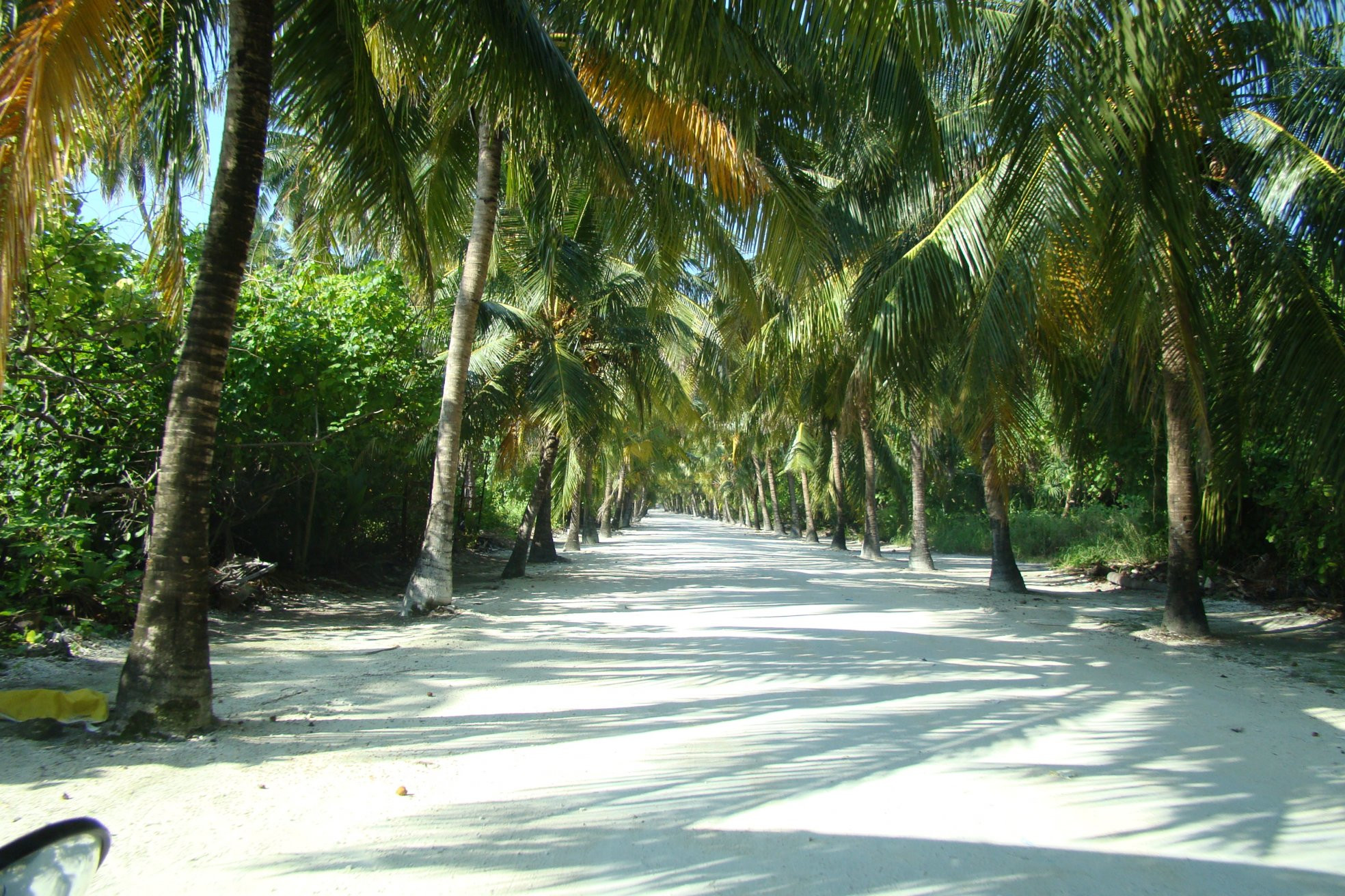 Лааму Атолл, Мальдивы – фотографии Мальдивских островов