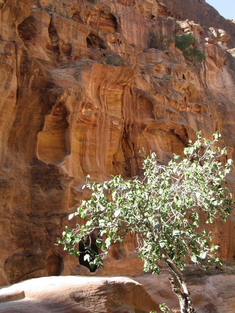 Петра, Иордания, фото № 37280 – фотографии Иордании