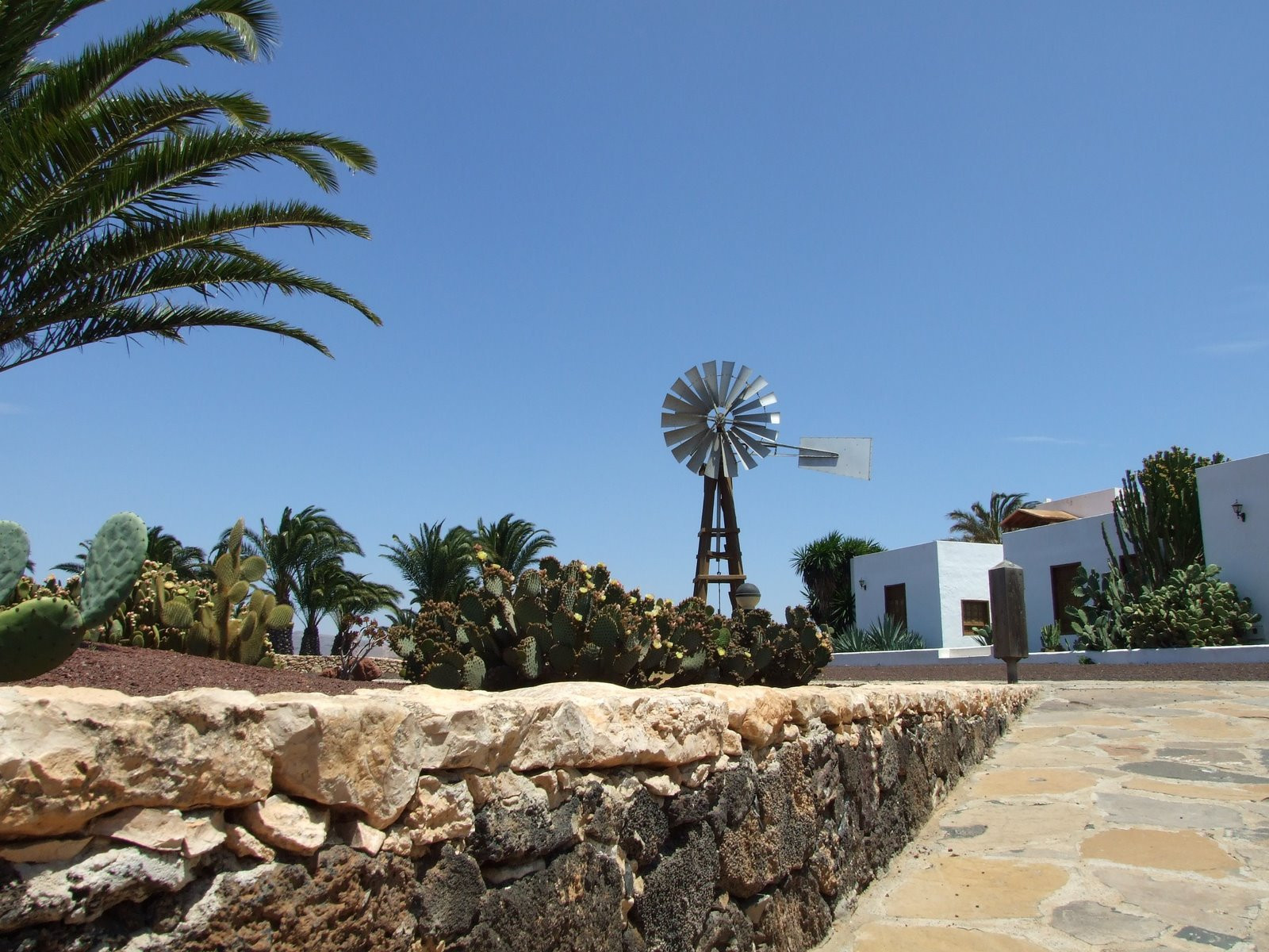 Антигуа, Фуэртевентура остров, Канарские острова, фото № 33995 – фотографии Канарских островов