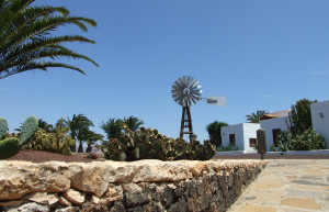 Антигуа, Фуэртевентура остров, Канарские острова, фото № 33995 – фотографии Канарских островов