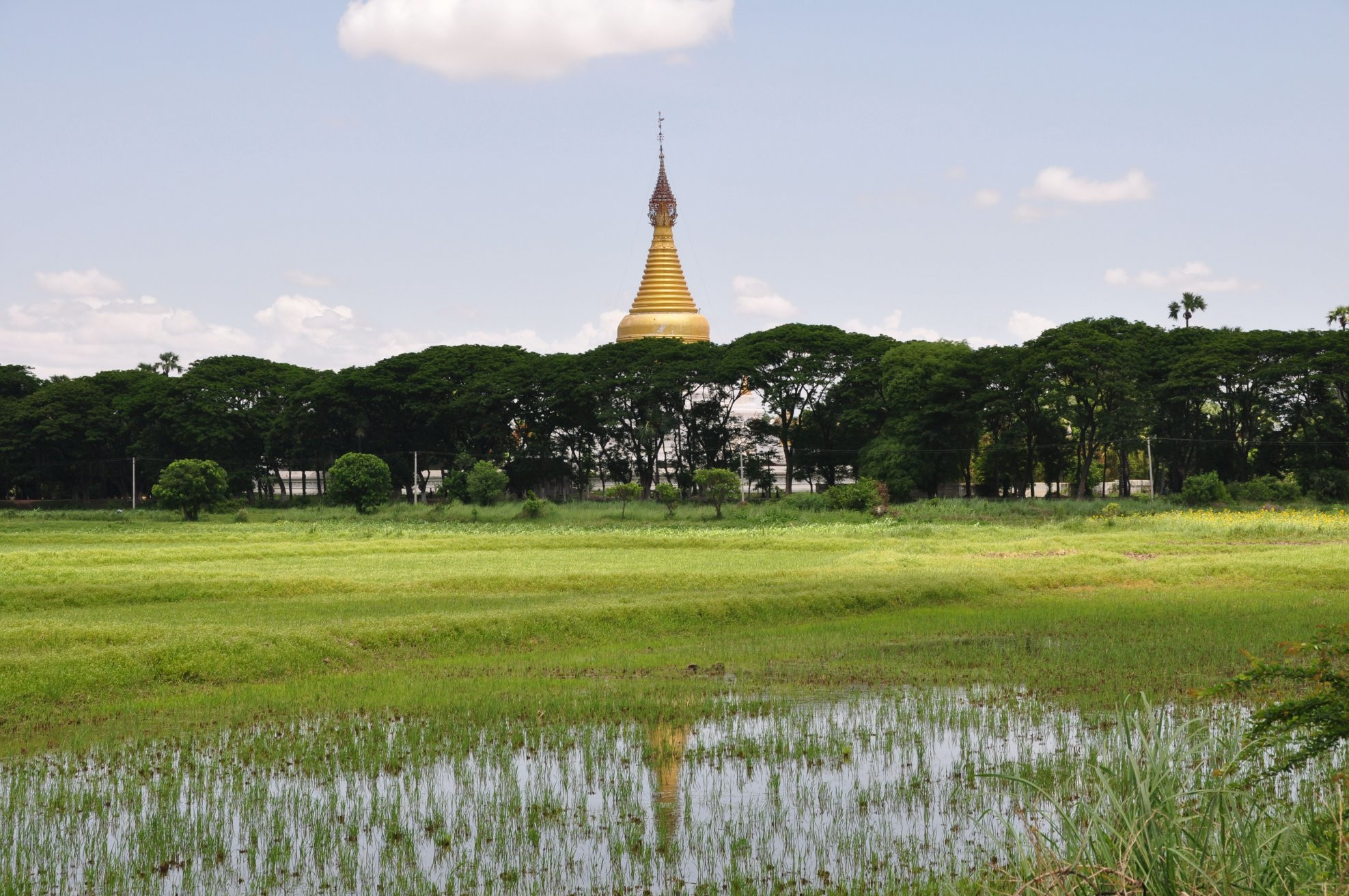 Огромная ступа за деревьями – фотографии Мьянмы